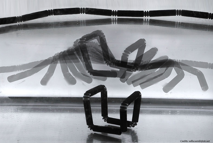 E se la stampa 3D rappresentasse il passato? Ecco la rivoluzione del 4D stampabile!