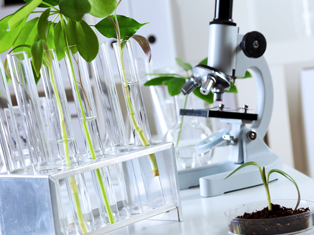 Inci green cosmetica del futuro